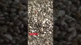 chia seeds farming |more videos visit our channel #rc_times #chia_seeds #farming