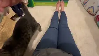 How to use the wand toy