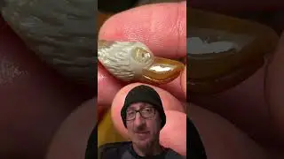 Lake Superior Agates! #art  #lapidary #lsa #carving #agates #agate #agateart #lakesuperioragate