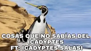 Cosas que no sabias del Icadyptes. FT: Icadyptes salasi.