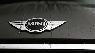 Protect X для Mini