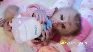 Oh God! Smallest Baby Jason Sit On Floor Moan Request Mom Cuddle & Feed Milk