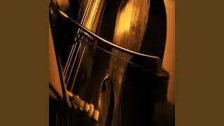 BASS COLORS excerpts from Beethoven 9