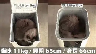 ModKat 貓砂盆_flip&XL