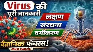 General Character , Structure and Classification of Virus । BSc III Semester Zoology DSE 