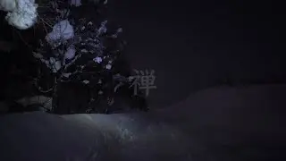 Forest Night | Full Moon Rising, Mt. Yotei on the Right — Niseko, Japan [4K]