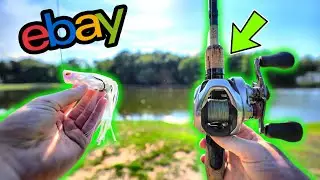 I Bought The CRAZIEST Frog From Ebay (Clear Lure)