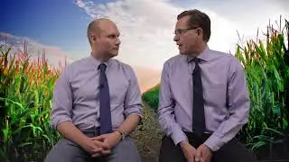 Corn Markets in 2018/19