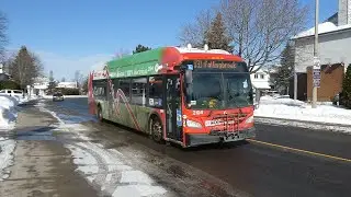 OC Transpo 2104: New Flyer 'Xcelsior' XE40, Enters Revenue Service (Electric Bus)