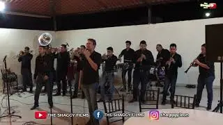 El Sinaloense / Banda Puro Sinaloa (En Vivo) Mx (Fiesta Privada)