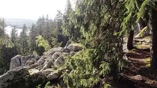Week 25 - Runners Diary - Hit The Wall - The Road to The H&ouml;ga Kusten Trail Marathon