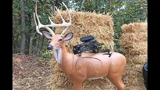 BigShot Back Yard Buck 3D Target Review