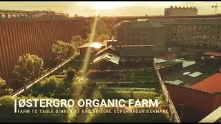 &Oslash;sterGRO Organic Rooftop Farm in &Oslash;sterbro Copenhagen Denmark