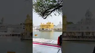 Shri Harmandir Sahib#gurudwaravlogs #trending
