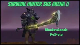 Shadowlands Survival Hunter PvP Gameplay -- Multi Rank 1 Prepatch 9.0 Arena Wins with Twitch Stream