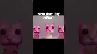 What does Nty mean? #memes #funny #goofy