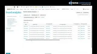 Amazon Brand Analytics for Product Research, Part 1