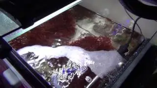 FishofHex  4K Contest  entry