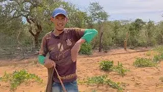 Marcação de poço artesiano em Chique chic Bahia Povoado de carnaúba