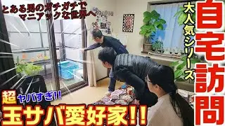 自宅のベランダに超巨大水槽を置いてしまった愛好家のプライベート空間