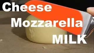 EXPERIMENT 1000 Degree Hot Knife VS Food #1 Dairy Products