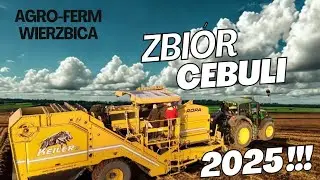 🔥ZBIÓR CEBULI 2025 !!! 🔥AGRO-FERM WIERZBICA !!! NOWY NABYTEL LEMKEN DIAMANT 16