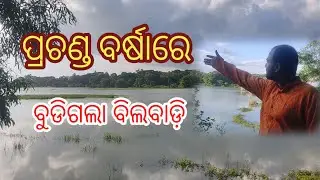 ପ୍ରଚଣ୍ଡ ବର୍ଷାରେ ବିଲବାଡ଼ି ବୁଡିଗଲା | Heavy Rain Water Damaged Agricultural Land 