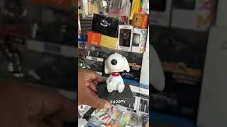Cheapest car accessories market in Delhi 🔥#caraccessories #caraccessoriesmodified