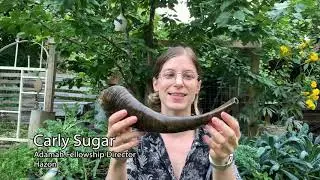 Why Do We Blow the Shofar?
