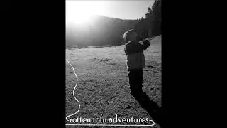 ROTTEN TOFU ADVENTURES - unreleased songs (screamo crust power violence et tout et tout, 2005)
