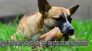 18 जनवरी 2026