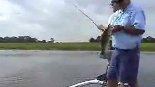 Bass Fishing with Stanley Ribbit Frogs