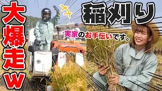 バイク女子が実家の稲刈りマシンで田んぼを大爆走してみた【田舎】