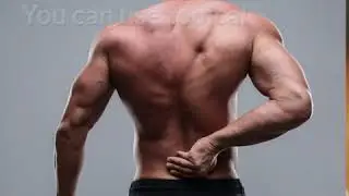 CBD and Chiropractic