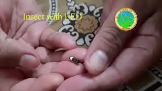 Insect with LED || #SHORTS #FissionCreations
