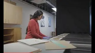 Turning Collections Specimens into Data | California Academy of Sciences