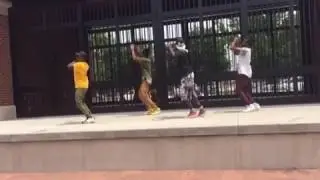 Trueboys performance