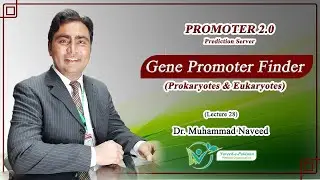 Gene Promoter Finder | Promoter 2.0 Prediction Server | Lecture 28 |  Dr.Muhammad Naveed