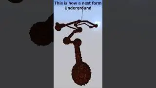 How a nest form with the Entomophobia infection | Minecraft
