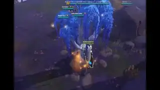 BRAW COMP 8.4 WOOD OPEN WORLD FİGHT #albiononline  #mmorpg  #gaming