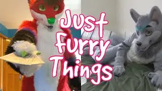 Just Furry Things 4 (w/ @CrashAzarel)