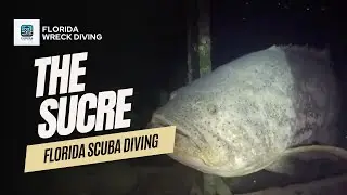 Diving the Sucre Wreck: Amazing Underwater Exploration in Pompano Beach!