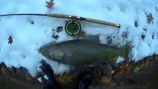Bronte Creek Salmon Steelhead Fishing 2018