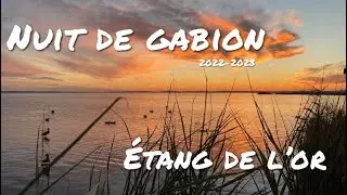 CHASSE AUX CANARDS / NUIT DE GABION / ÉTANG DE L’OR / SAISON 2022-2023