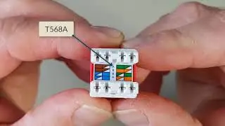 Cat 6 - Shuttered F Type ezi-JACK
