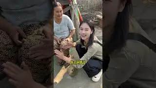 農戶家的墊腳石，大喬一刀切開加工出一大批飄花鐲！#翡翠 #緬甸翡翠 #翡翠手鐲 #珠寶首飾