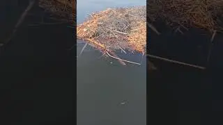 Рыбные места Самары  