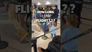 Flying to Peru with two toddlers