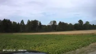 Habu EDF 19.7.2014 Aefligen