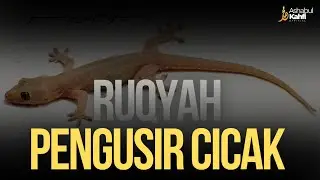 RUQYAH PENGUSIR CICAK DALAM RUMAH